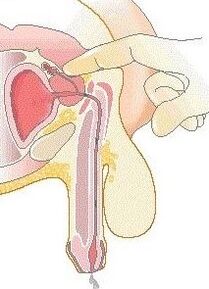 Prostate massage