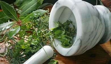 Erbe commissions for the treatment of prostatitis