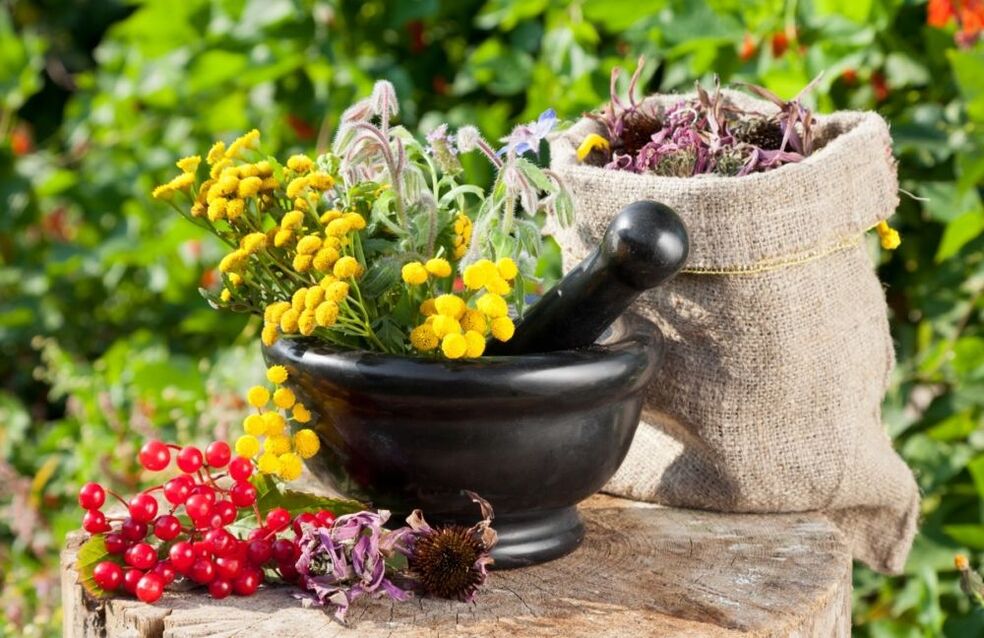 Medicinal plant medicines are used in the treatment of prostatitis